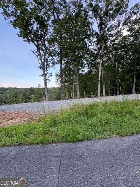 residential lot for sale at 290 Eagle View Drive LOT 20, Ellijay, GA 30540 — photo 9