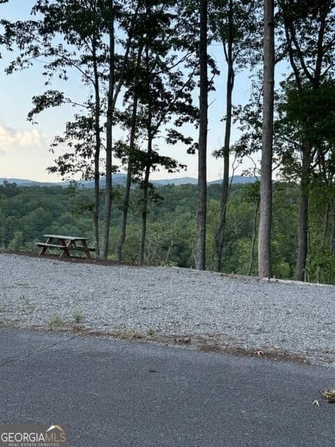 residential lot for sale at 290 Eagle View Drive LOT 20, Ellijay, GA 30540 — photo 4