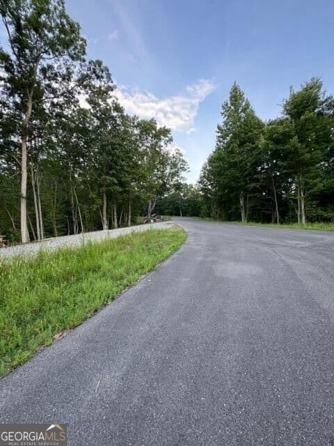 residential lot for sale at 290 Eagle View Drive LOT 20, Ellijay, GA 30540 — photo 8