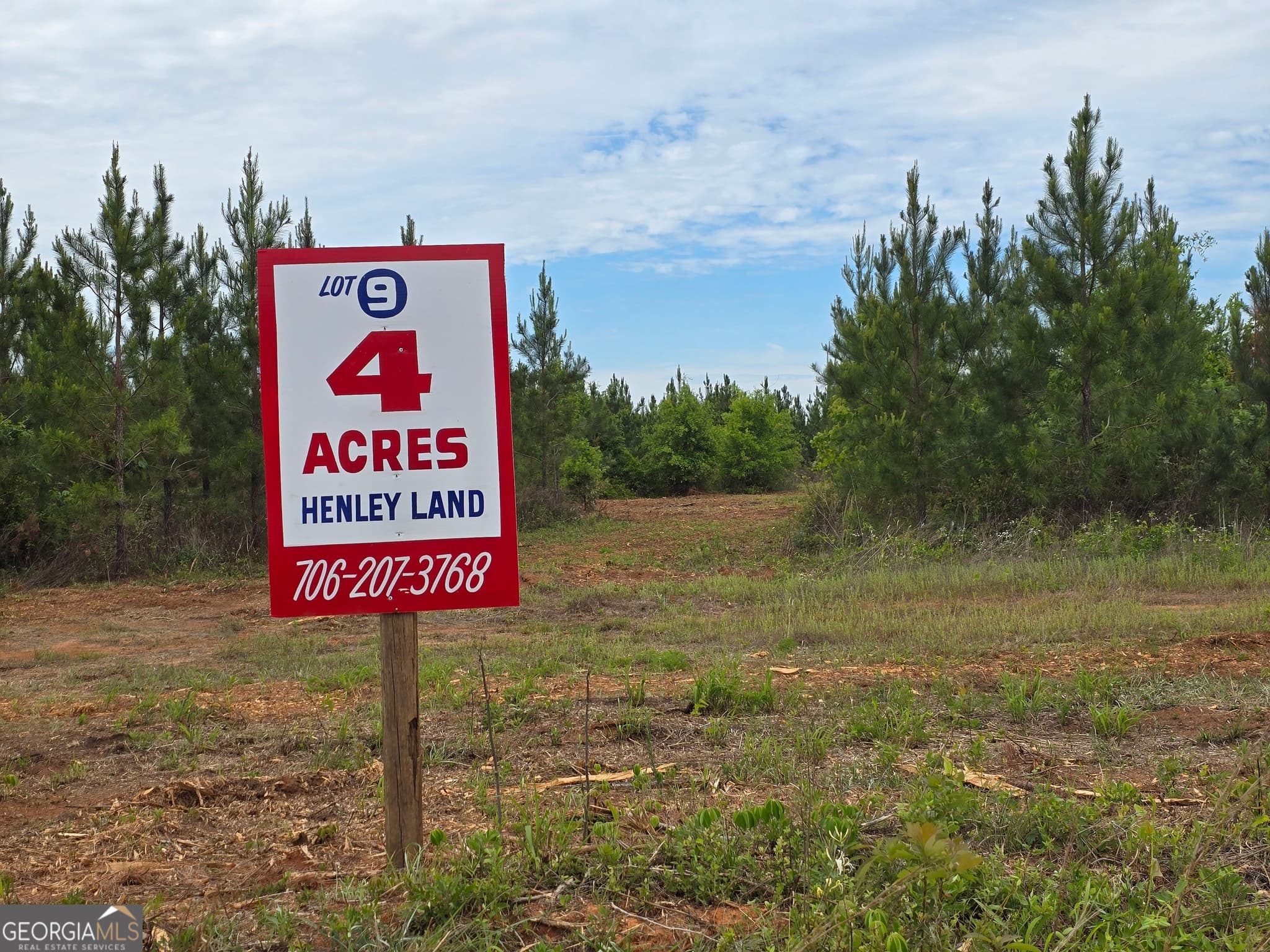 09 Marvin Murphy Road, Ellaville, GA 31806 — most recent listing photo