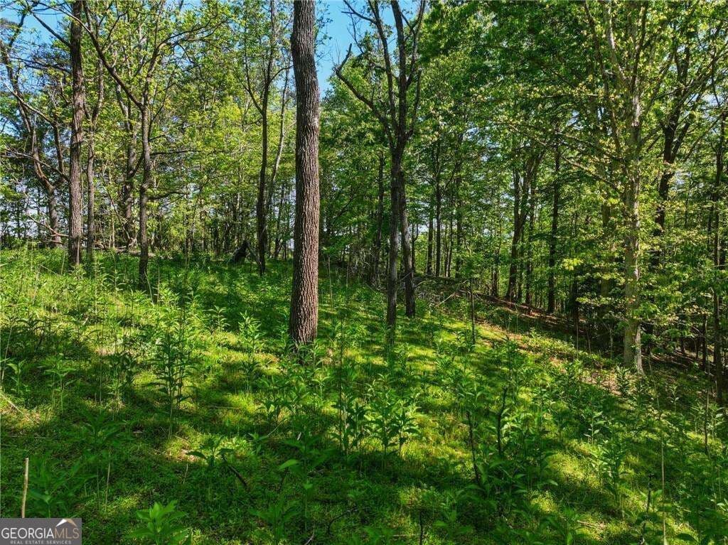 residential lot for sale at LOT 1 Summit Drive, Dahlonega, GA 30533 — photo 6
