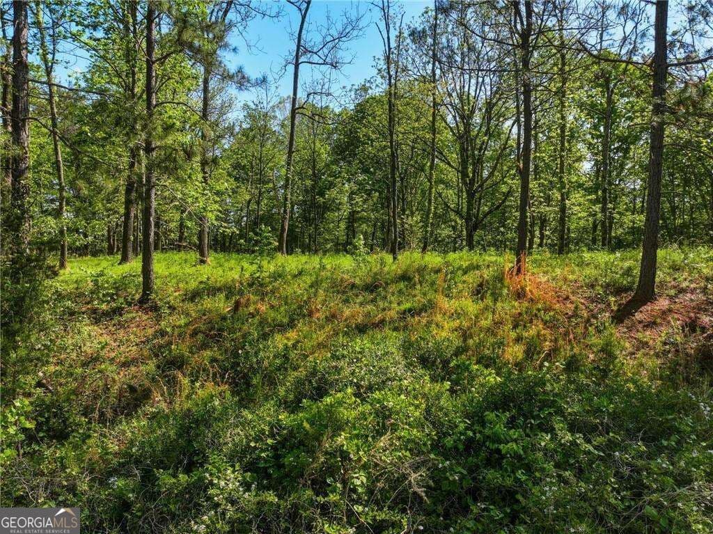 residential lot for sale at LOT 1 Summit Drive, Dahlonega, GA 30533 — photo 7