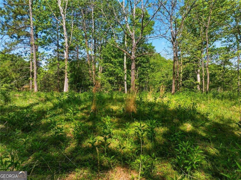 residential lot for sale at LOT 1 Summit Drive, Dahlonega, GA 30533 — photo 5