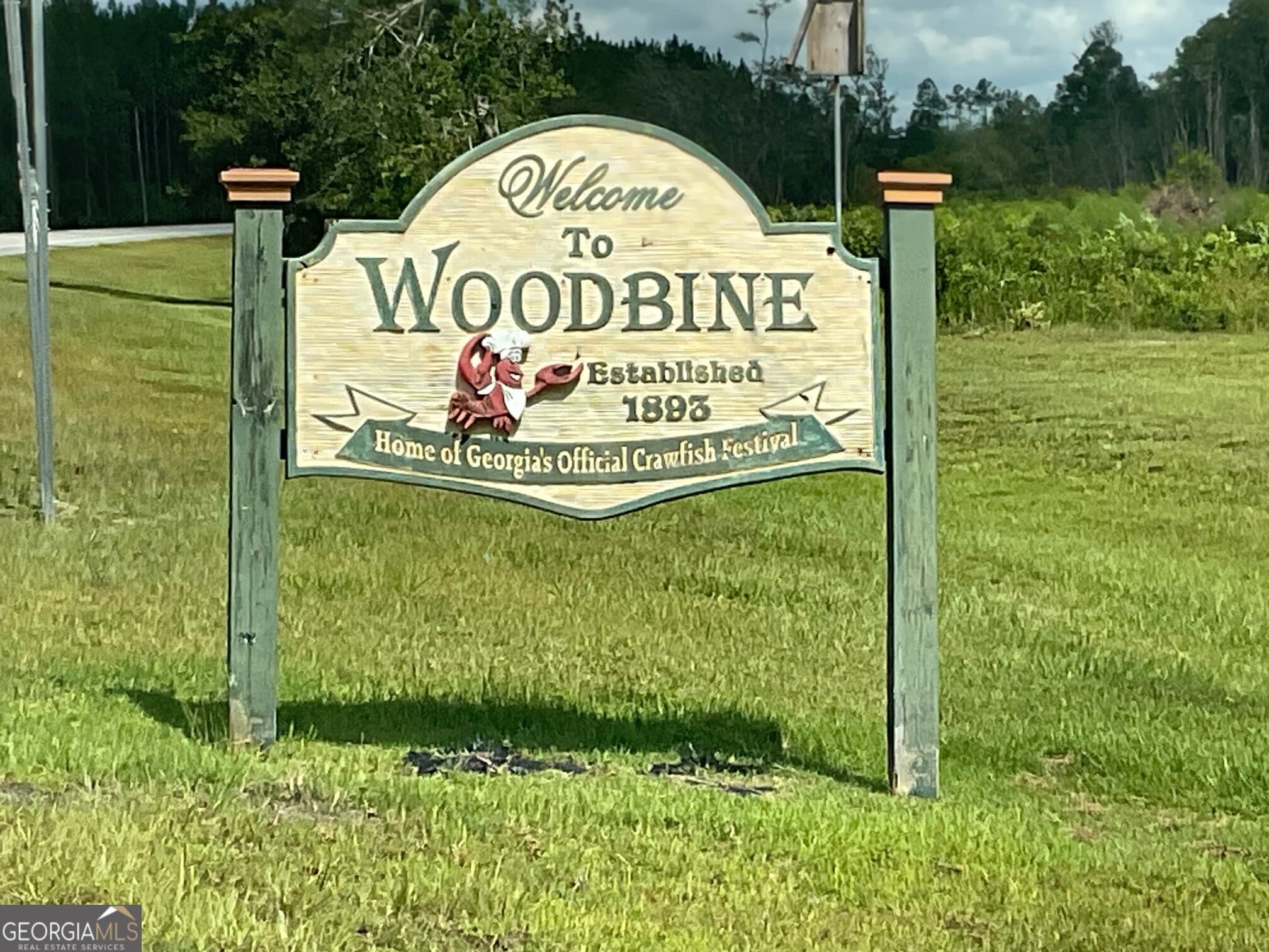 residential lot for sale at 705 Bedell Avenue, Woodbine, GA 31569 — photo 4