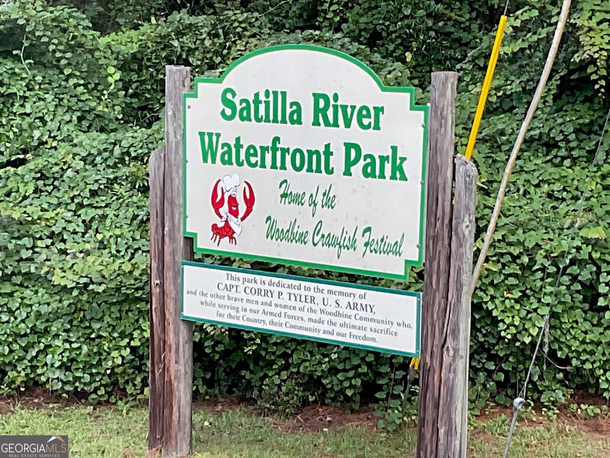 residential lot for sale at 705 Bedell Avenue, Woodbine, GA 31569 — photo 8