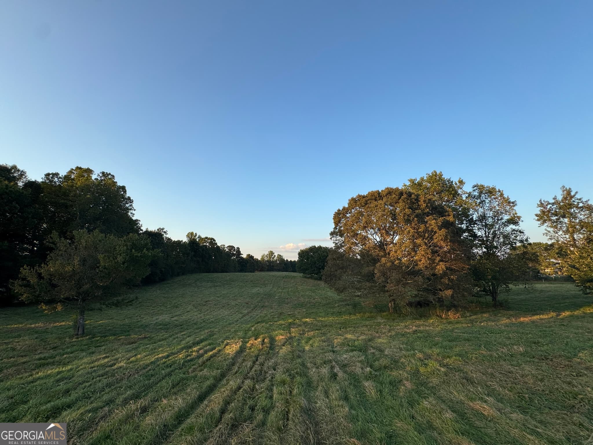 5 bedroom, 2 bathroom, 3,840 sq ft farm for sale at 1045 Pleasant Hill Road, Jasper, GA 30143 — photo 9