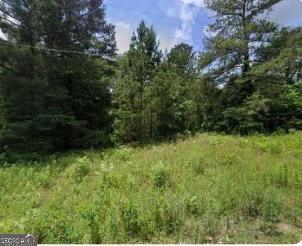 residential lot for sale at 68 Smith Street, Monticello, GA 31064 — photo 1 of 1