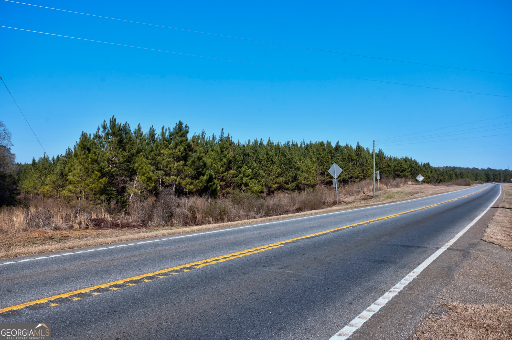 commercial for sale at 0 S U 82 Highway, Cuthbert, GA 39840 — photo 6