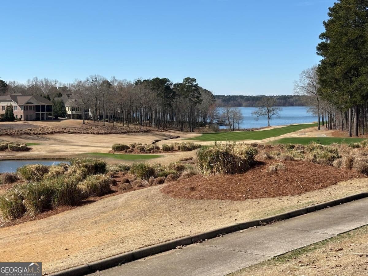 residential lot for sale at 1191 Lakeview Court, Greensboro, GA 30642 — photo 2