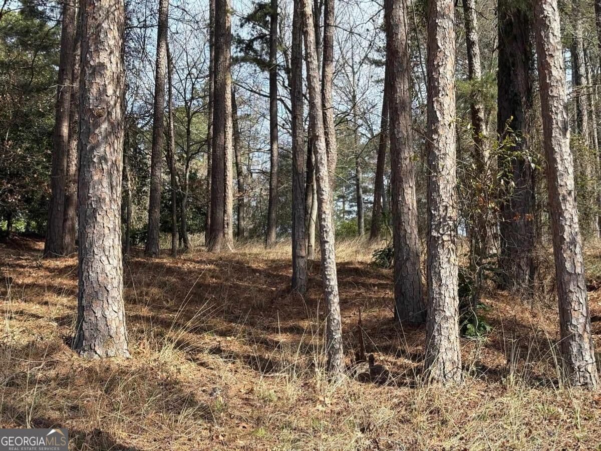 residential lot for sale at 1191 Lakeview Court, Greensboro, GA 30642 — photo 6