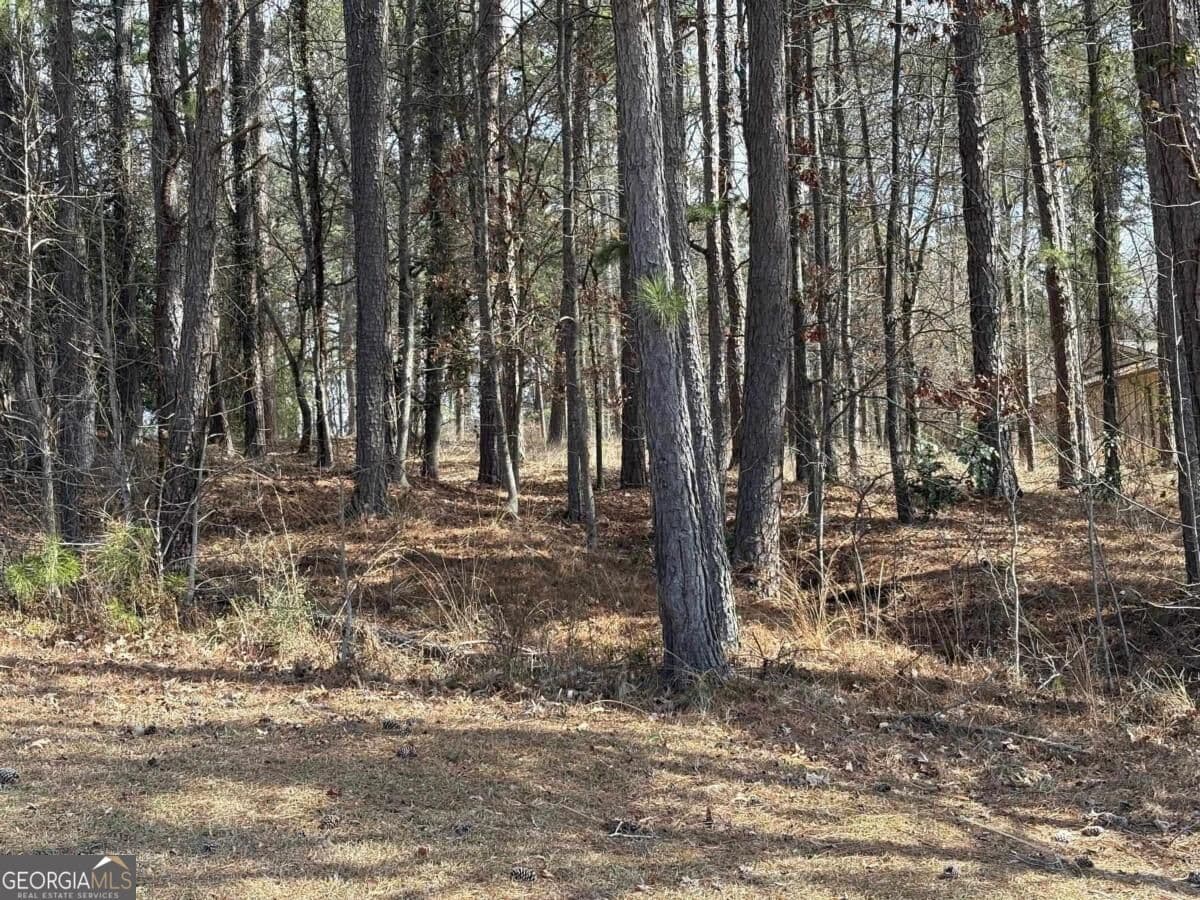 residential lot for sale at 1191 Lakeview Court, Greensboro, GA 30642 — photo 7