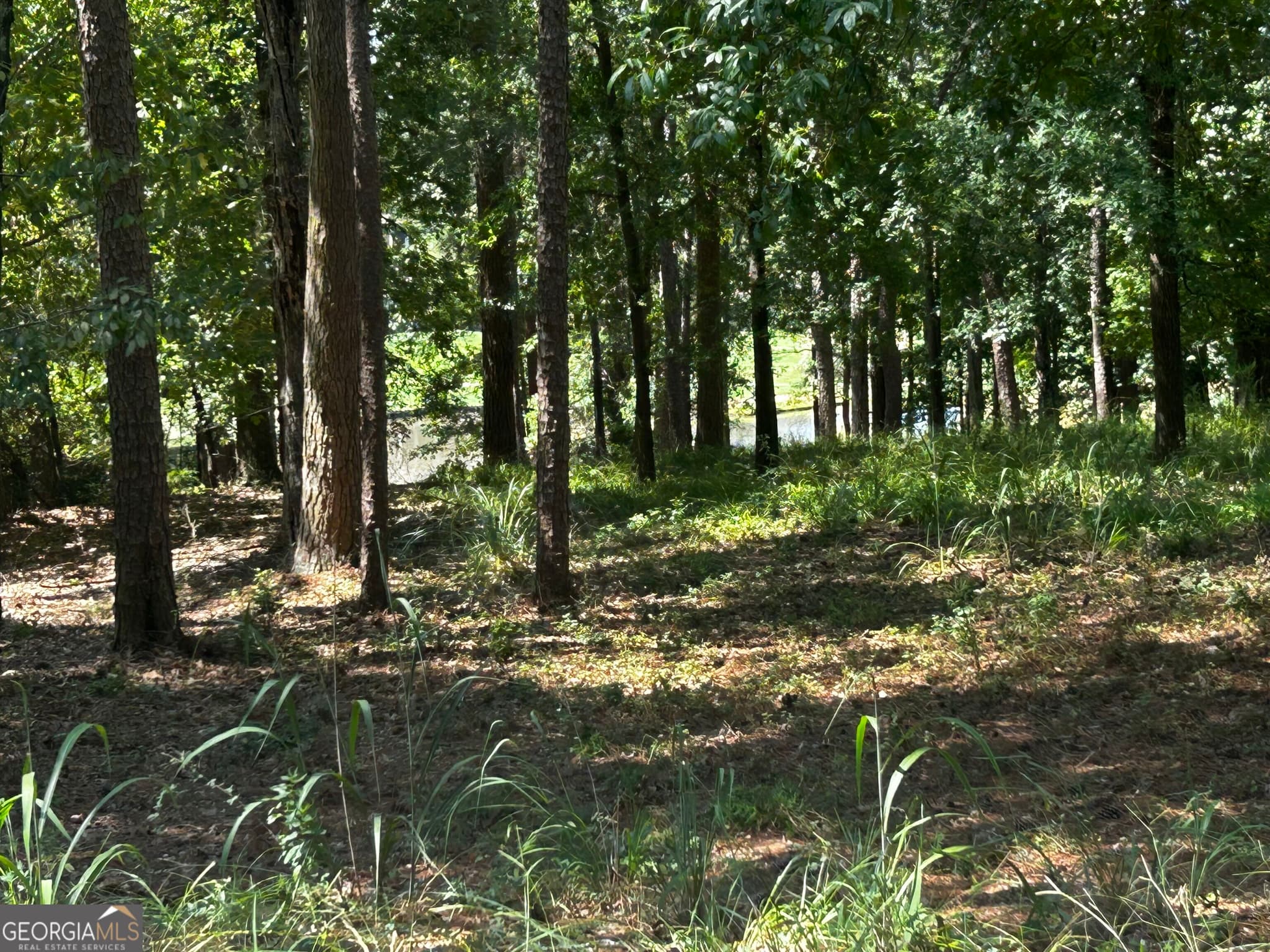 residential lot for sale at 1191 Lakeview Court, Greensboro, GA 30642 — photo 1 of 13