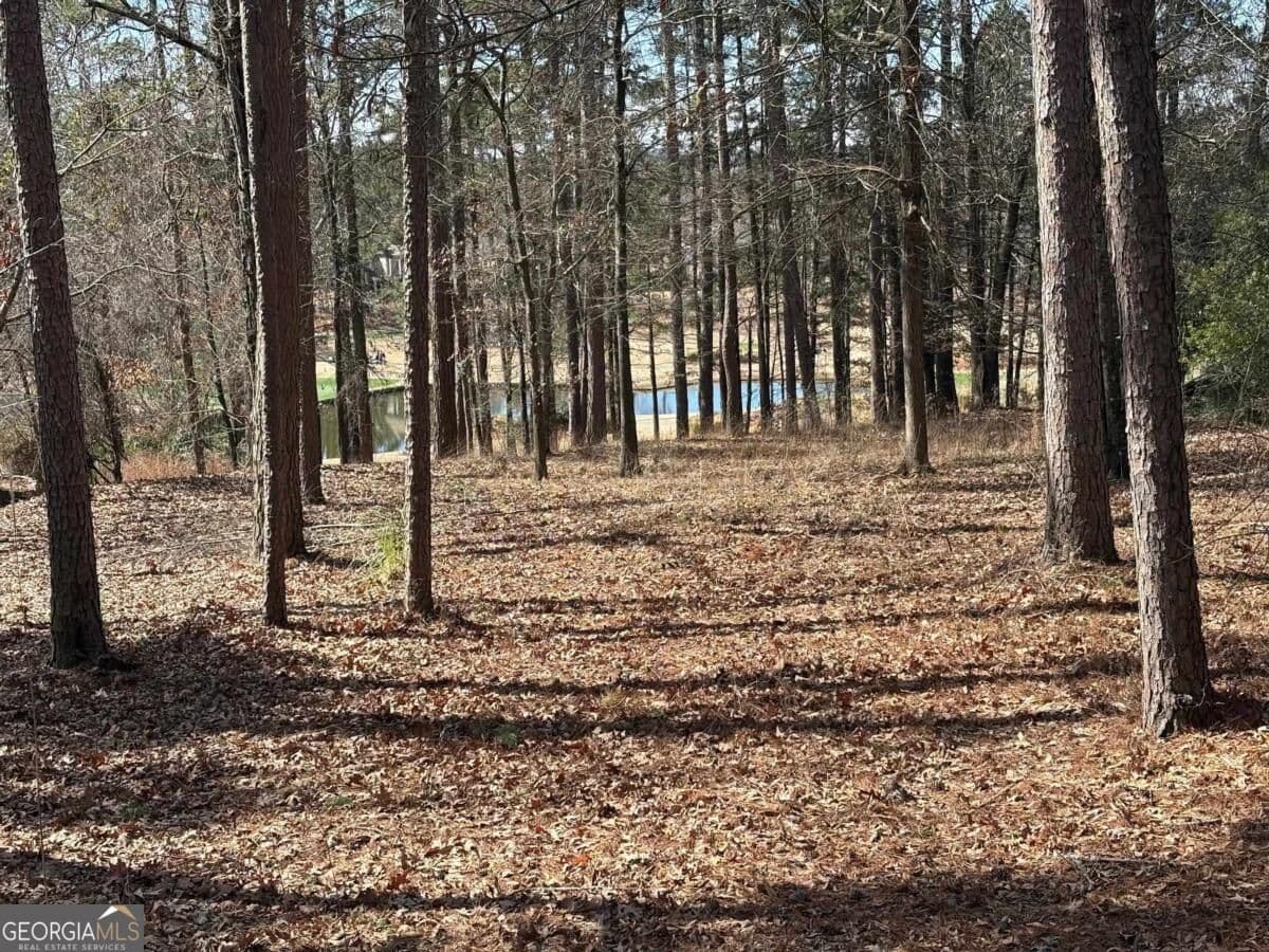 residential lot for sale at 1191 Lakeview Court, Greensboro, GA 30642 — photo 5