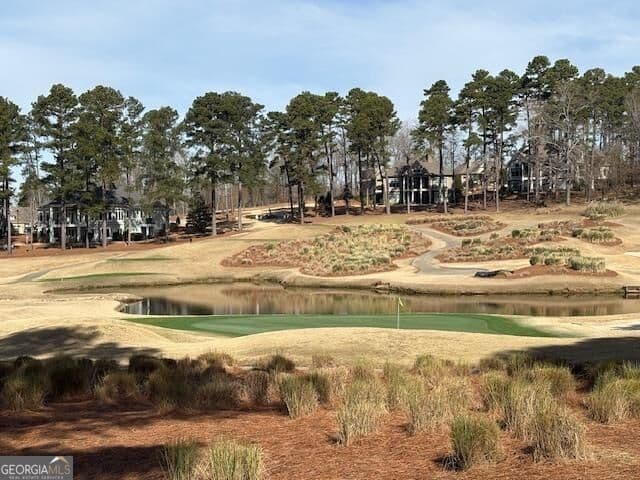 residential lot for sale at 1191 Lakeview Court, Greensboro, GA 30642 — photo 9