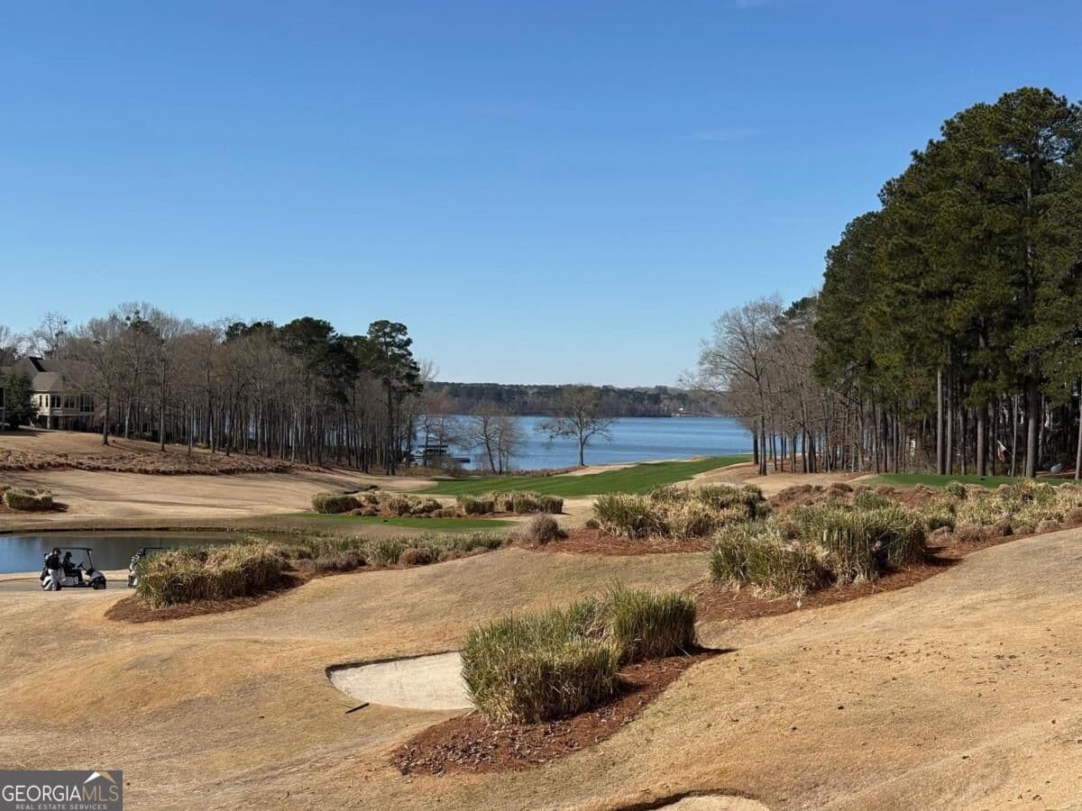 residential lot for sale at 1191 Lakeview Court, Greensboro, GA 30642 — photo 10