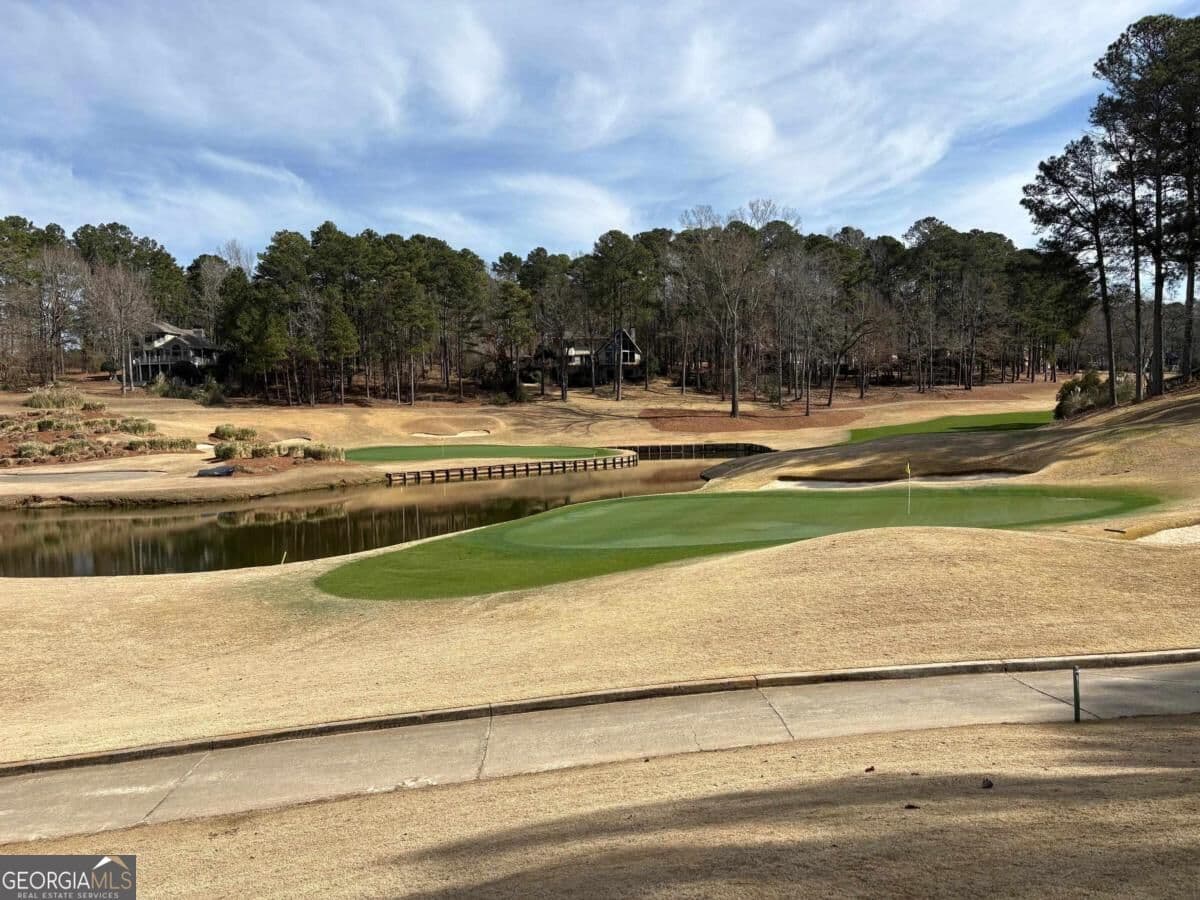 residential lot for sale at 1191 Lakeview Court, Greensboro, GA 30642 — photo 4