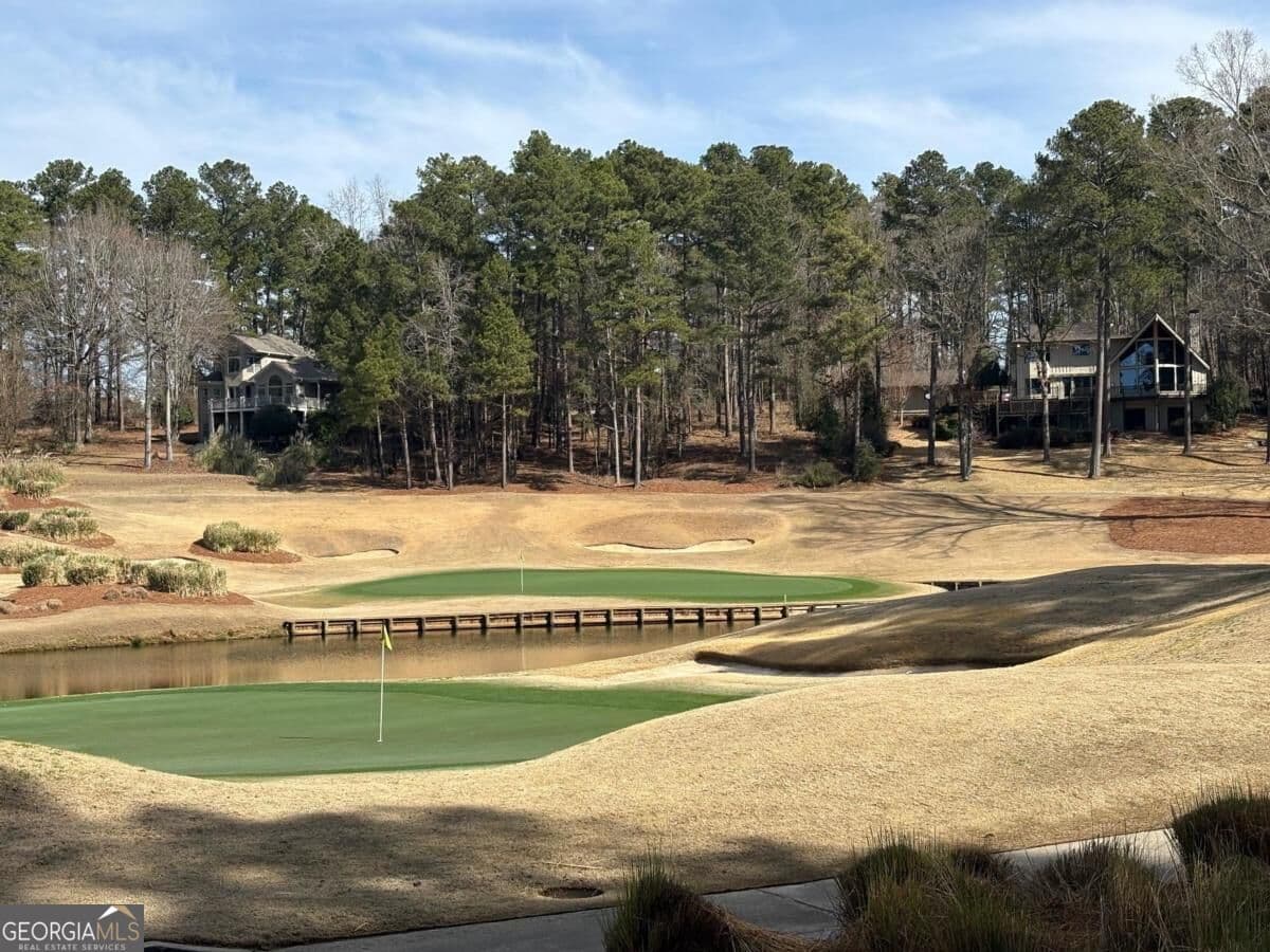 residential lot for sale at 1191 Lakeview Court, Greensboro, GA 30642 — photo 8