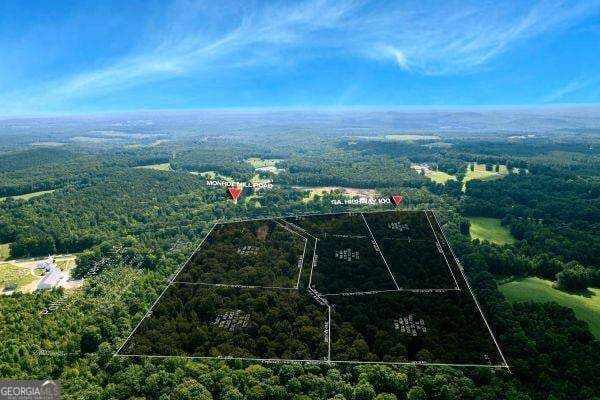 unimproved land for sale at 7704 Georgia Highway 100, Buchanan, GA 30113 — photo 2
