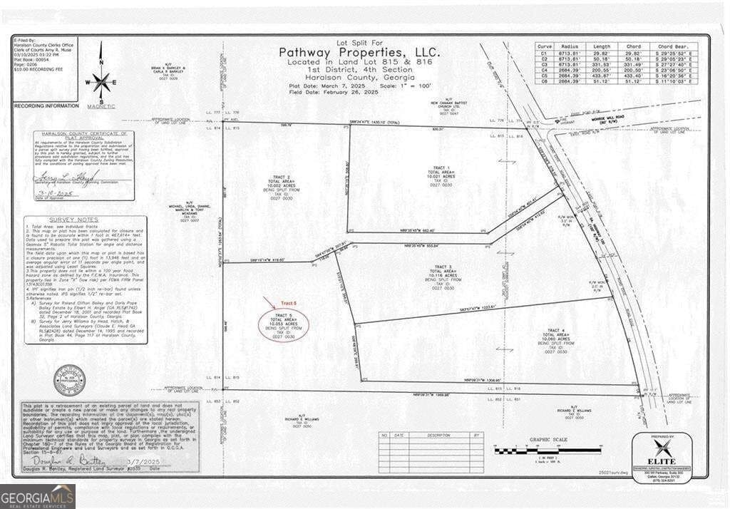 unimproved land for sale at 7704 Georgia Highway 100, Buchanan, GA 30113 — photo 7