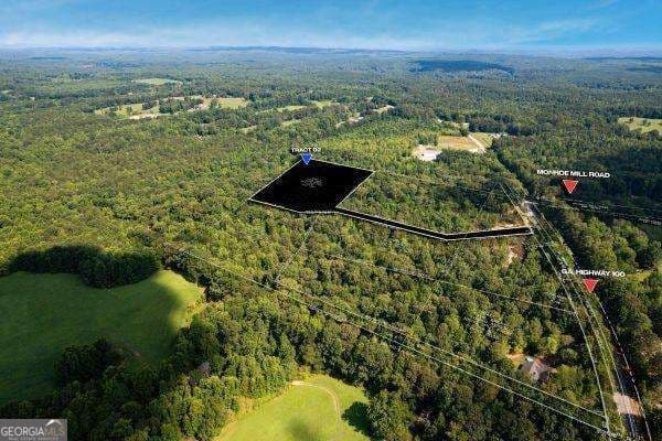 unimproved land for sale at 7704 Georgia Highway 100, Buchanan, GA 30113 — photo 3