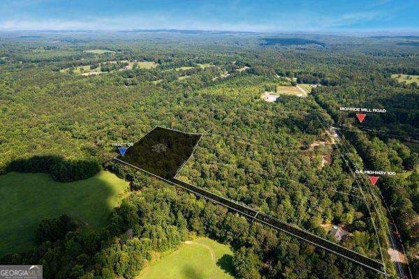 unimproved land for sale at 7704 Georgia Highway 100, Buchanan, GA 30113 — photo 1 of 15