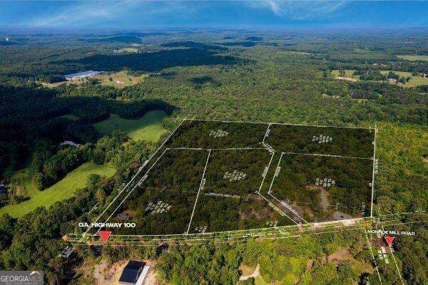unimproved land for sale at 7704 Georgia Highway 100, Buchanan, GA 30113 — photo 5