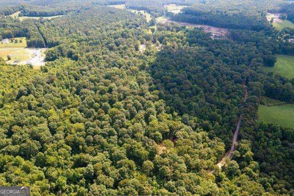 unimproved land for sale at 7704 Georgia Highway 100, Buchanan, GA 30113 — photo 9