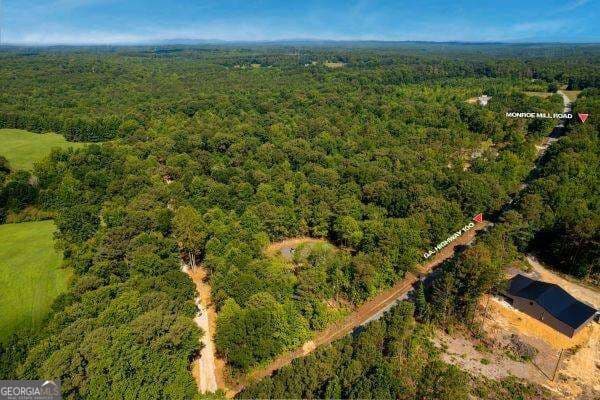 unimproved land for sale at 7704 Georgia Highway 100, Buchanan, GA 30113 — photo 10