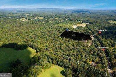 unimproved land for sale at 7704 Georgia Highway 100, Buchanan, GA 30113 — photo 4