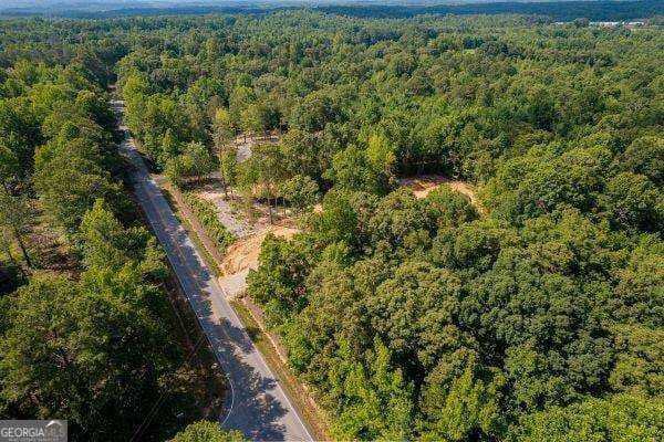 unimproved land for sale at 7704 Georgia Highway 100, Buchanan, GA 30113 — photo 8