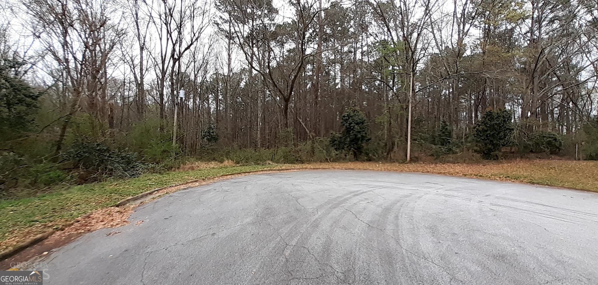 unimproved land for sale at 100 Lovelace Street, Newnan, GA 30263 — photo 2