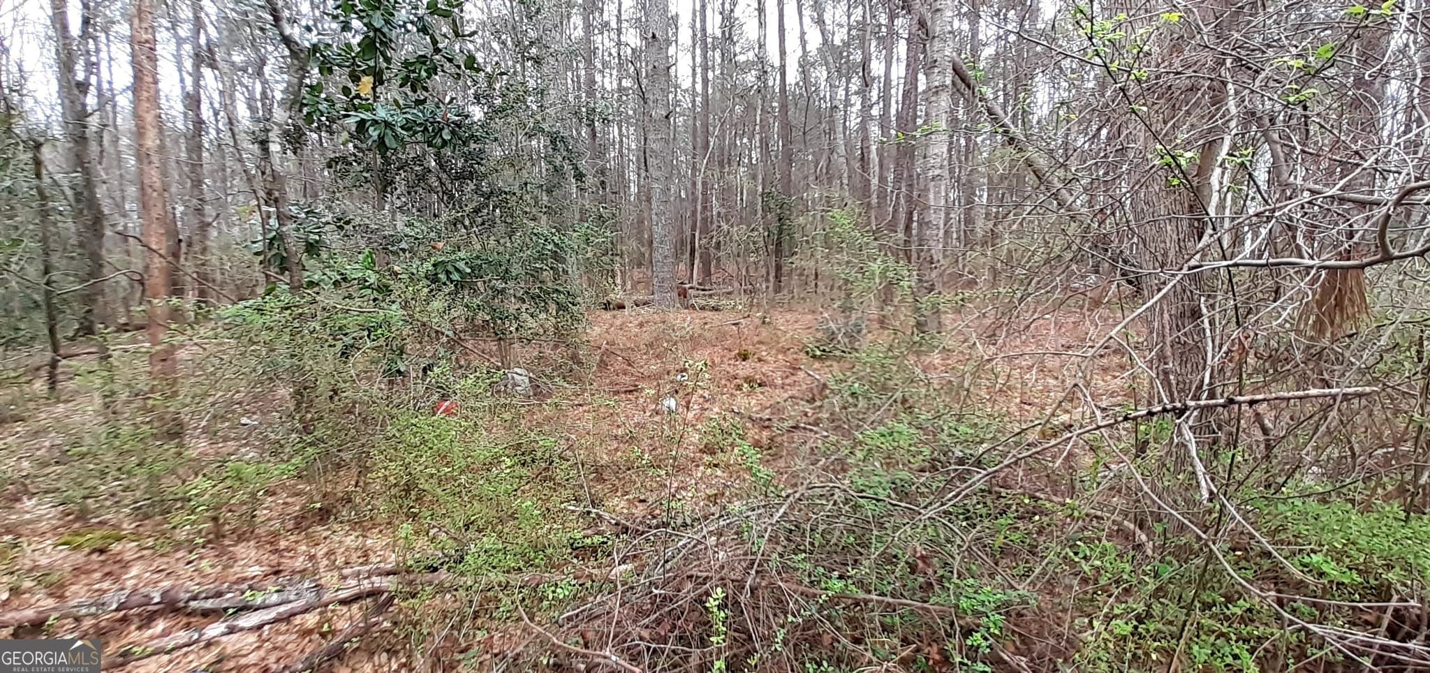 unimproved land for sale at 100 Lovelace Street, Newnan, GA 30263 — photo 3