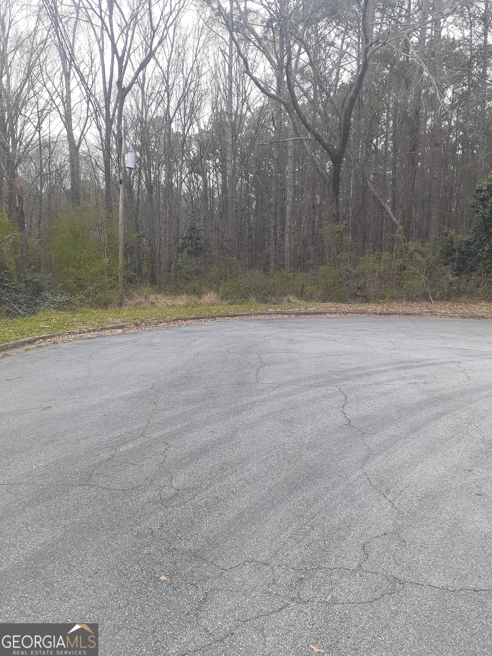 unimproved land for sale at 100 Lovelace Street, Newnan, GA 30263 — photo 4