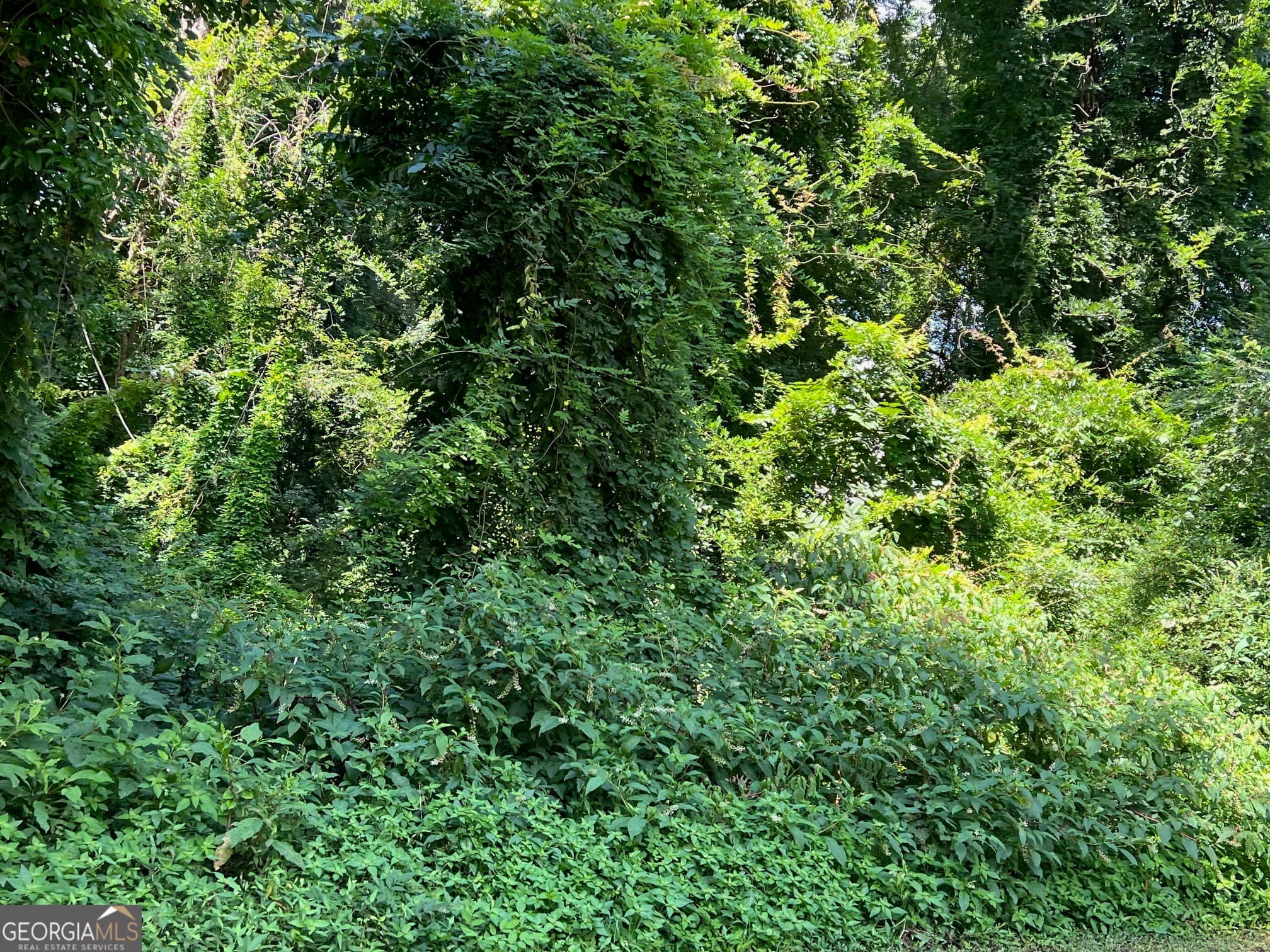 residential lot for sale at 0 Tye, Stockbridge, GA 30281 — photo 2