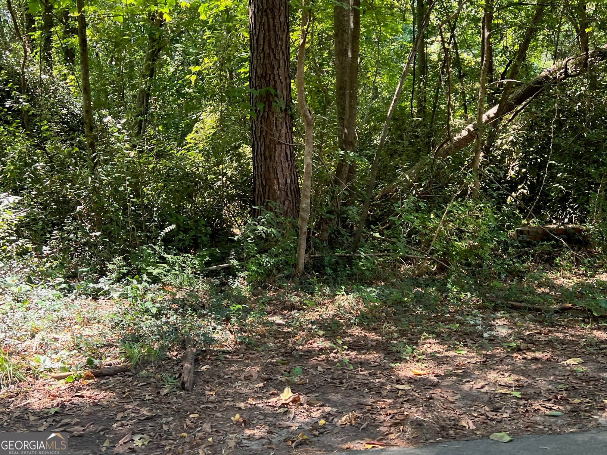 residential lot for sale at 0 Tye, Stockbridge, GA 30281 — photo 3