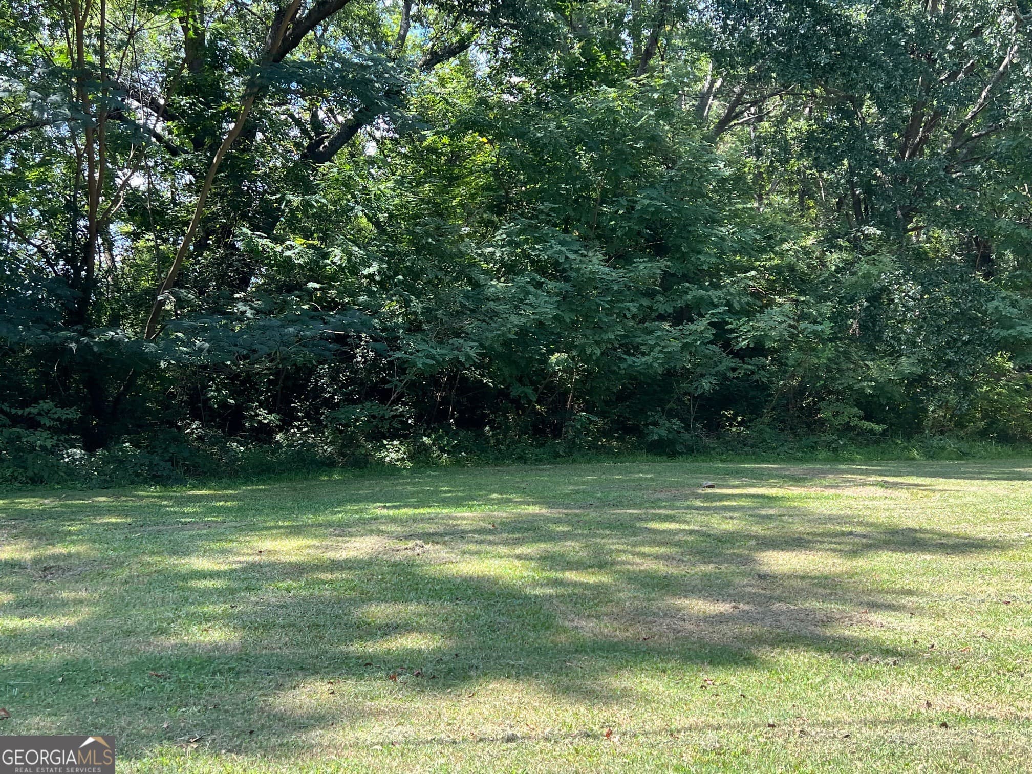 residential lot for sale at 0 Tye, Stockbridge, GA 30281 — photo 4