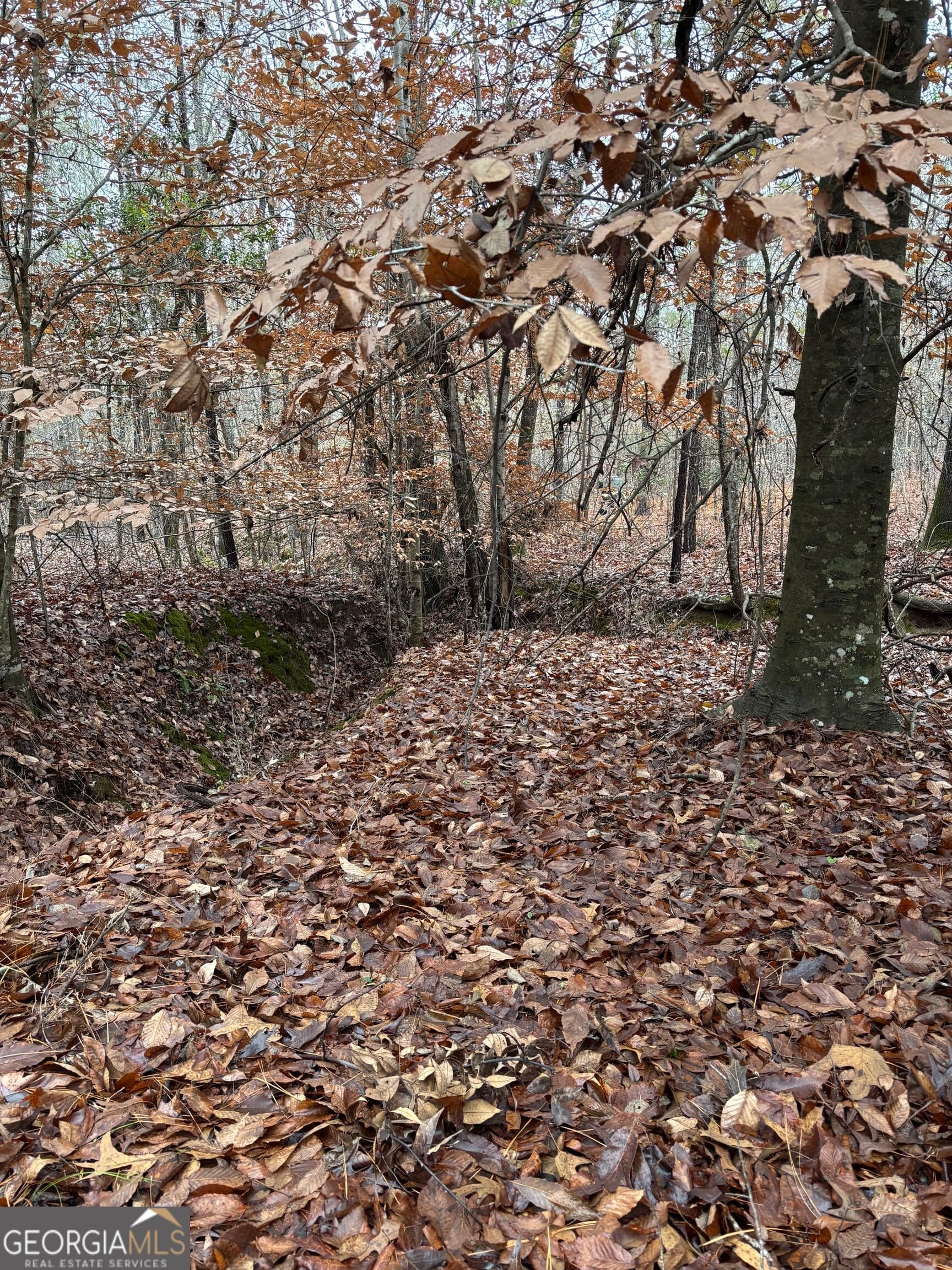 residential lot for sale at 0 N Pointe Drive, Tignall, GA 30668 — photo 2