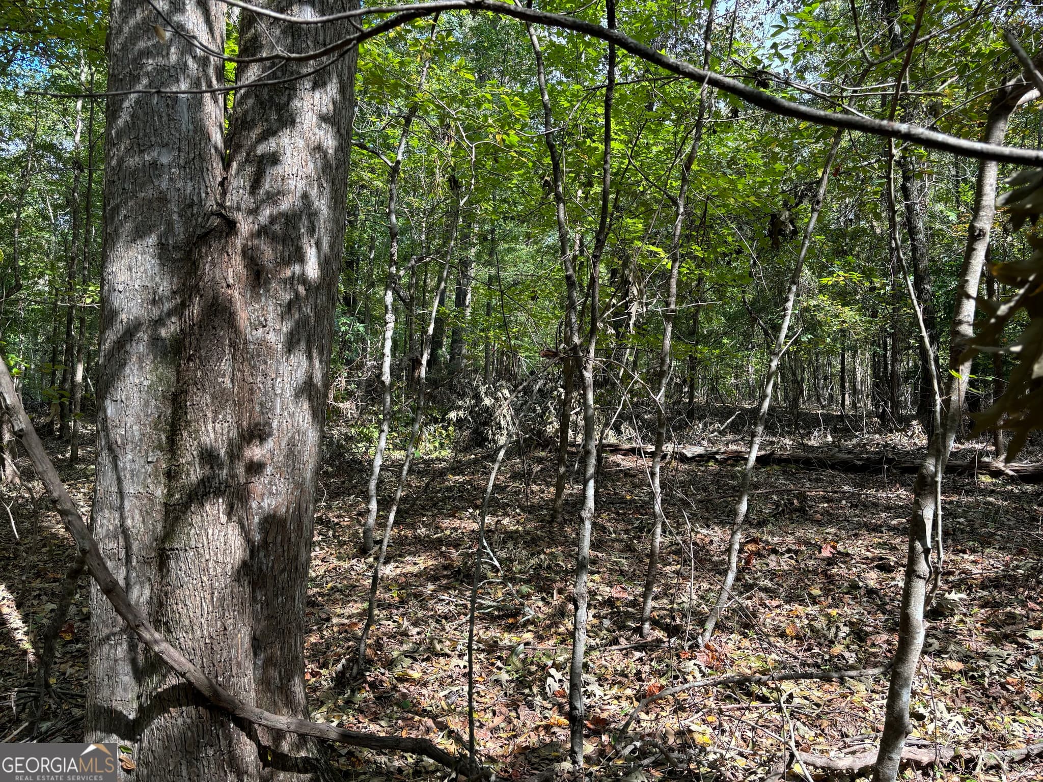 residential lot for sale at 0 N Pointe Drive, Tignall, GA 30668 — photo 3