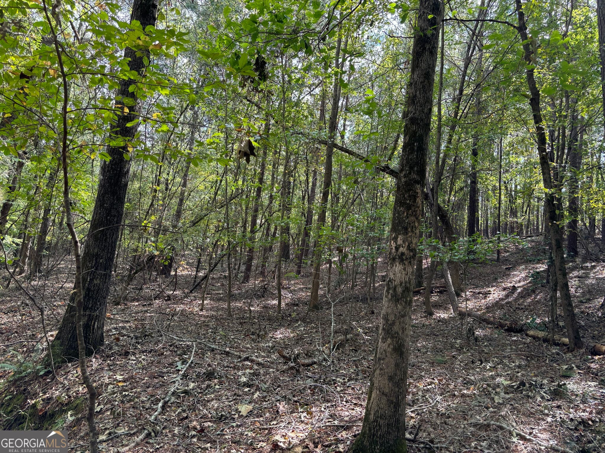 residential lot for sale at 0 N Pointe Drive, Tignall, GA 30668 — photo 5