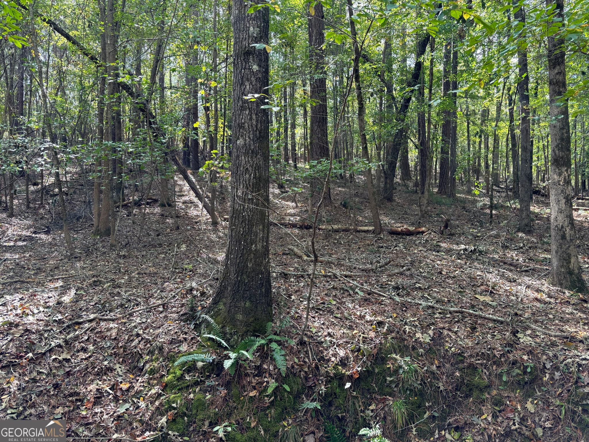 residential lot for sale at 0 N Pointe Drive, Tignall, GA 30668 — photo 4