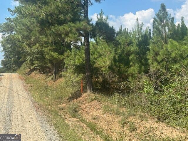 agriculture for sale at 0 Cook Road TRACT #11, Monticello, GA 31064 — photo 2