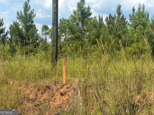 agriculture for sale at 0 Cook Road TRACT #11, Monticello, GA 31064 — photo 3