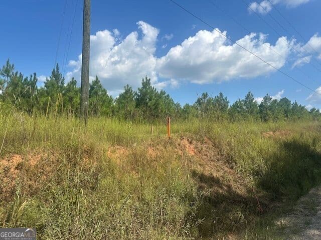 agriculture for sale at 0 Cook Road TRACT #11, Monticello, GA 31064 — photo 5