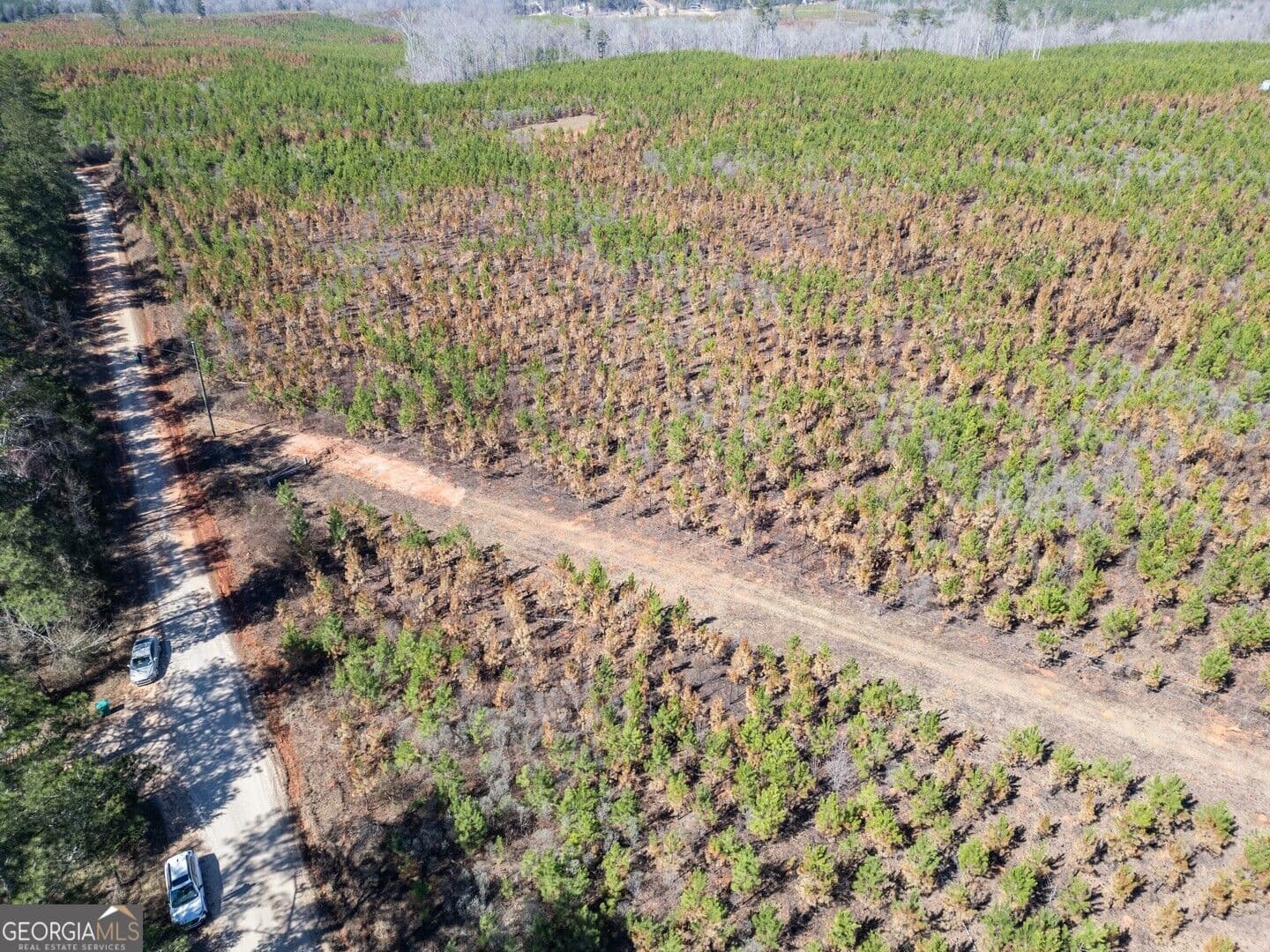agriculture for sale at 0 Cook Road TRACT #11, Monticello, GA 31064 — photo 10