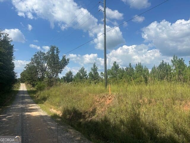 agriculture for sale at 0 Cook Road TRACT #11, Monticello, GA 31064 — photo 4