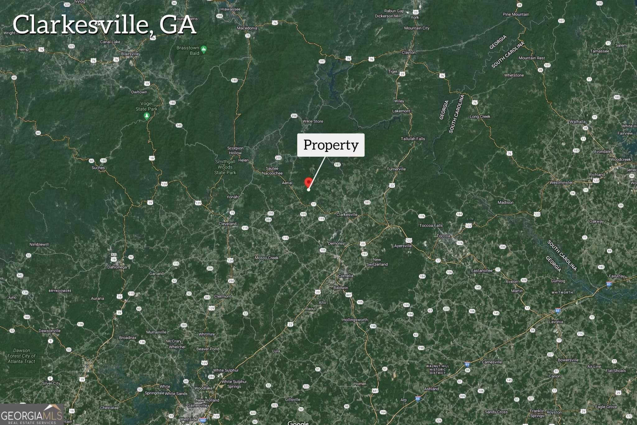 residential lot for sale at 5012 Alec Mountain Road, Clarkesville, GA 30523 — photo 3