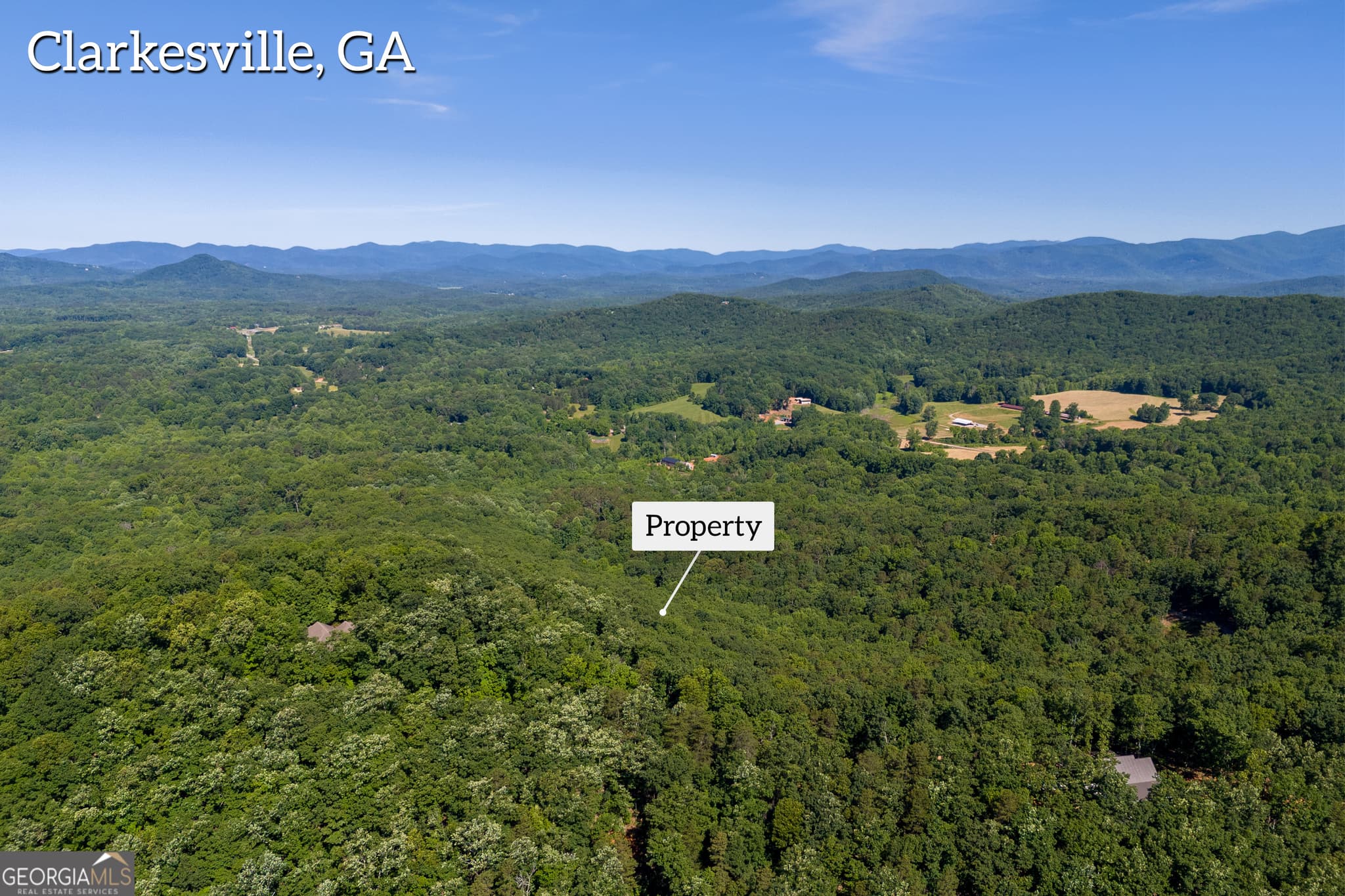 residential lot for sale at 5012 Alec Mountain Road, Clarkesville, GA 30523 — photo 5