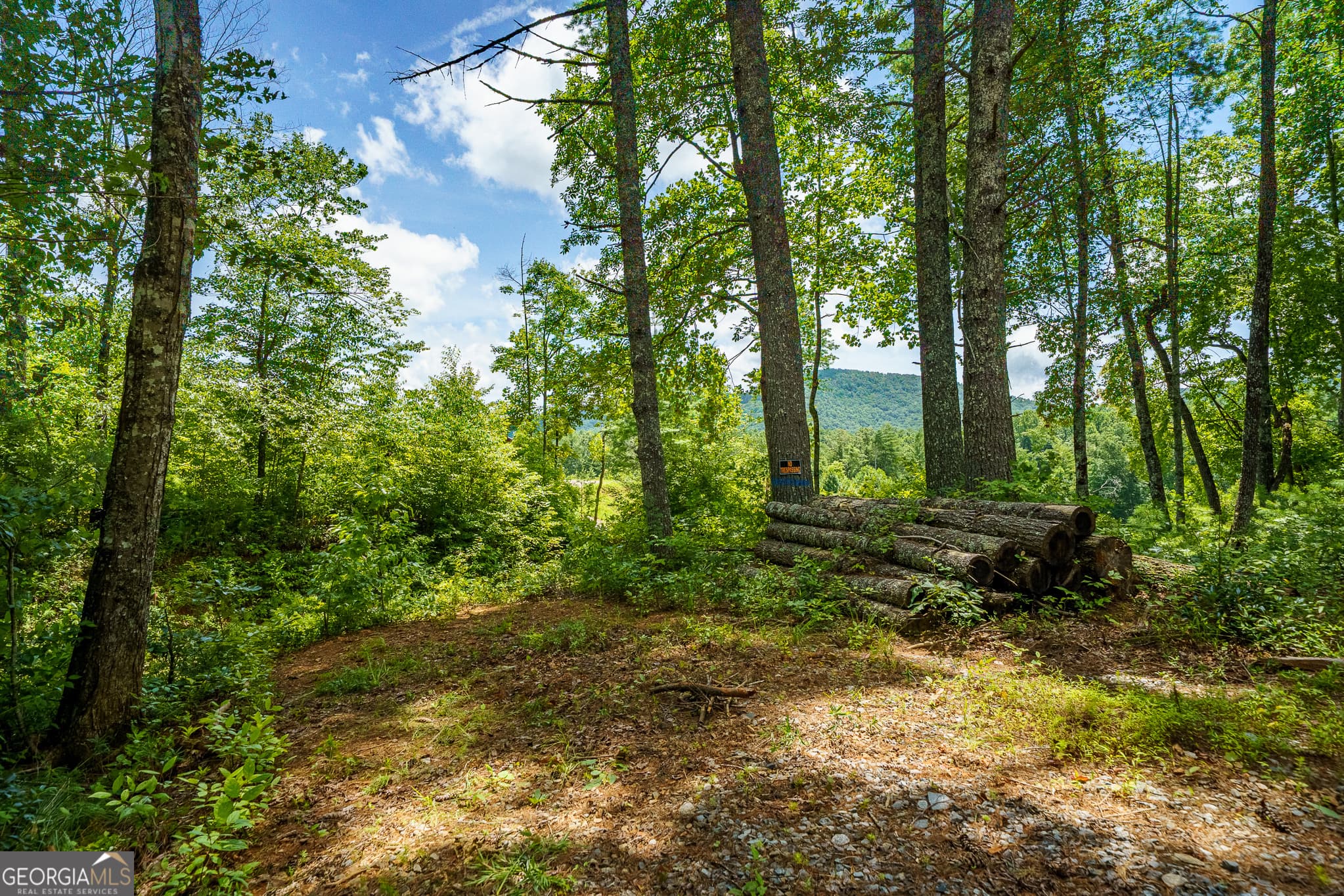 1 bedroom, 1 bathroom, 384 sq ft cabin,single family residence for sale at 0 Higdon Creek Road, Blue Ridge, GA 30513 — photo 10
