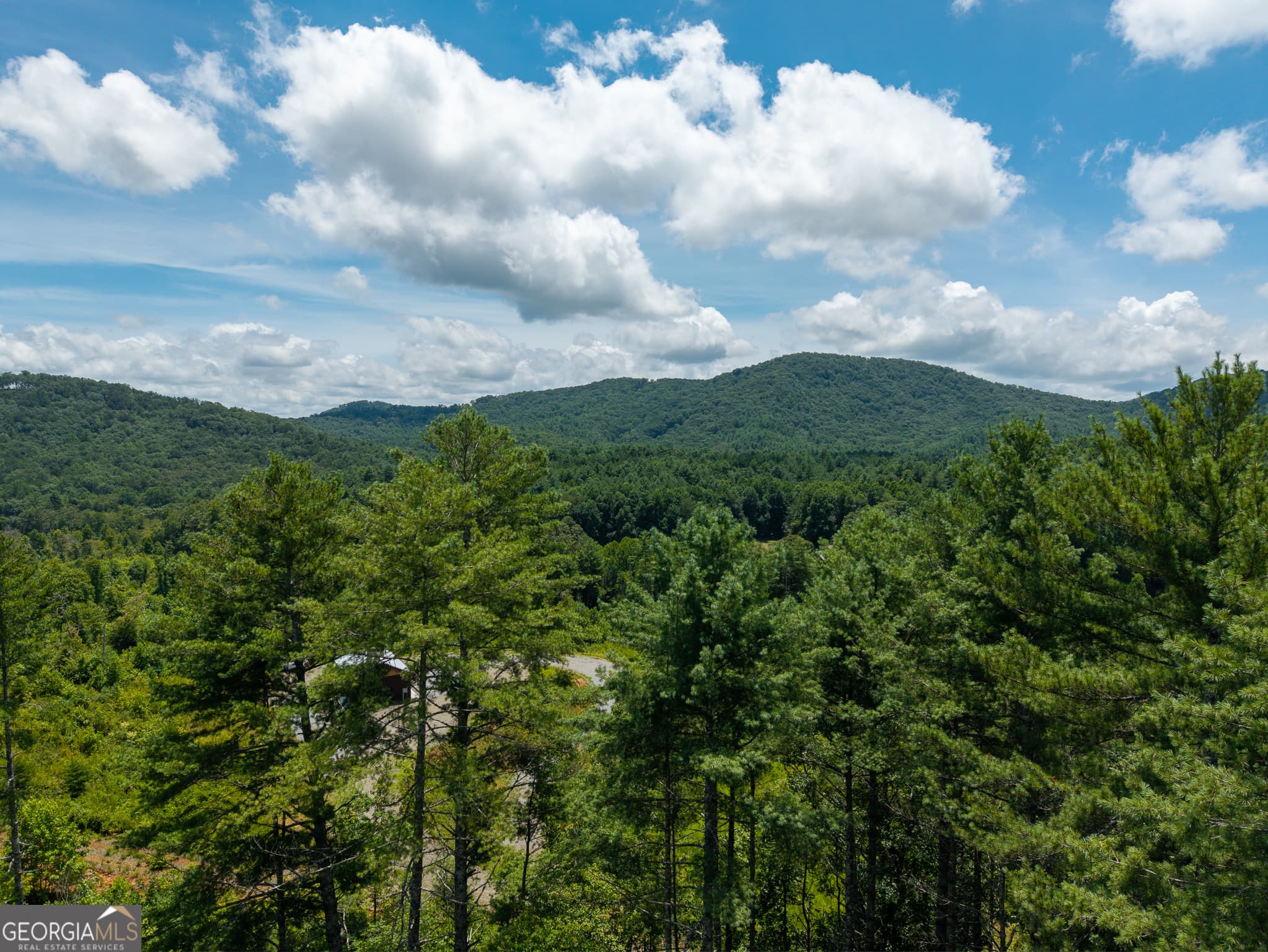 1 bedroom, 1 bathroom, 384 sq ft cabin,single family residence for sale at 0 Higdon Creek Road, Blue Ridge, GA 30513 — photo 4