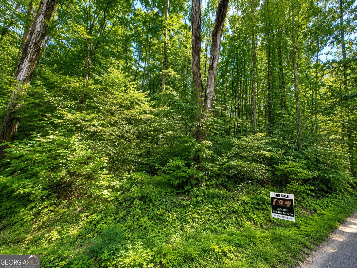 residential lot for sale at 0 Salem Road, Rossville, GA 30741
